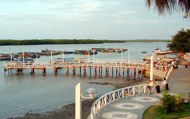 flora de tumbes